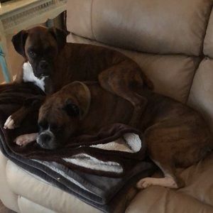 Meet your Posher, Anna